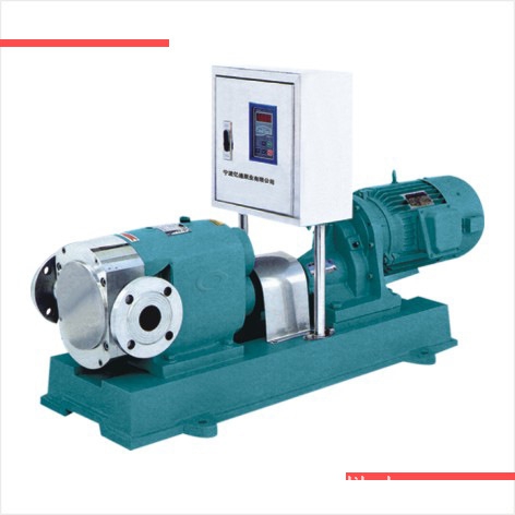 變頻調(diào)速型轉(zhuǎn)子泵