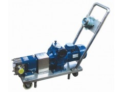 移動式轉(zhuǎn)子泵